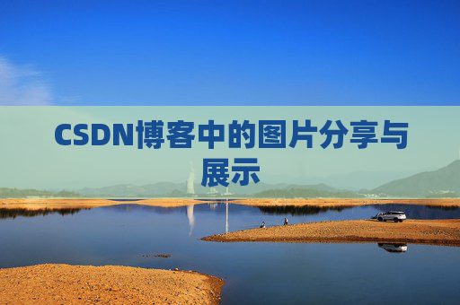 CSDN博客中的图片分享与展示
